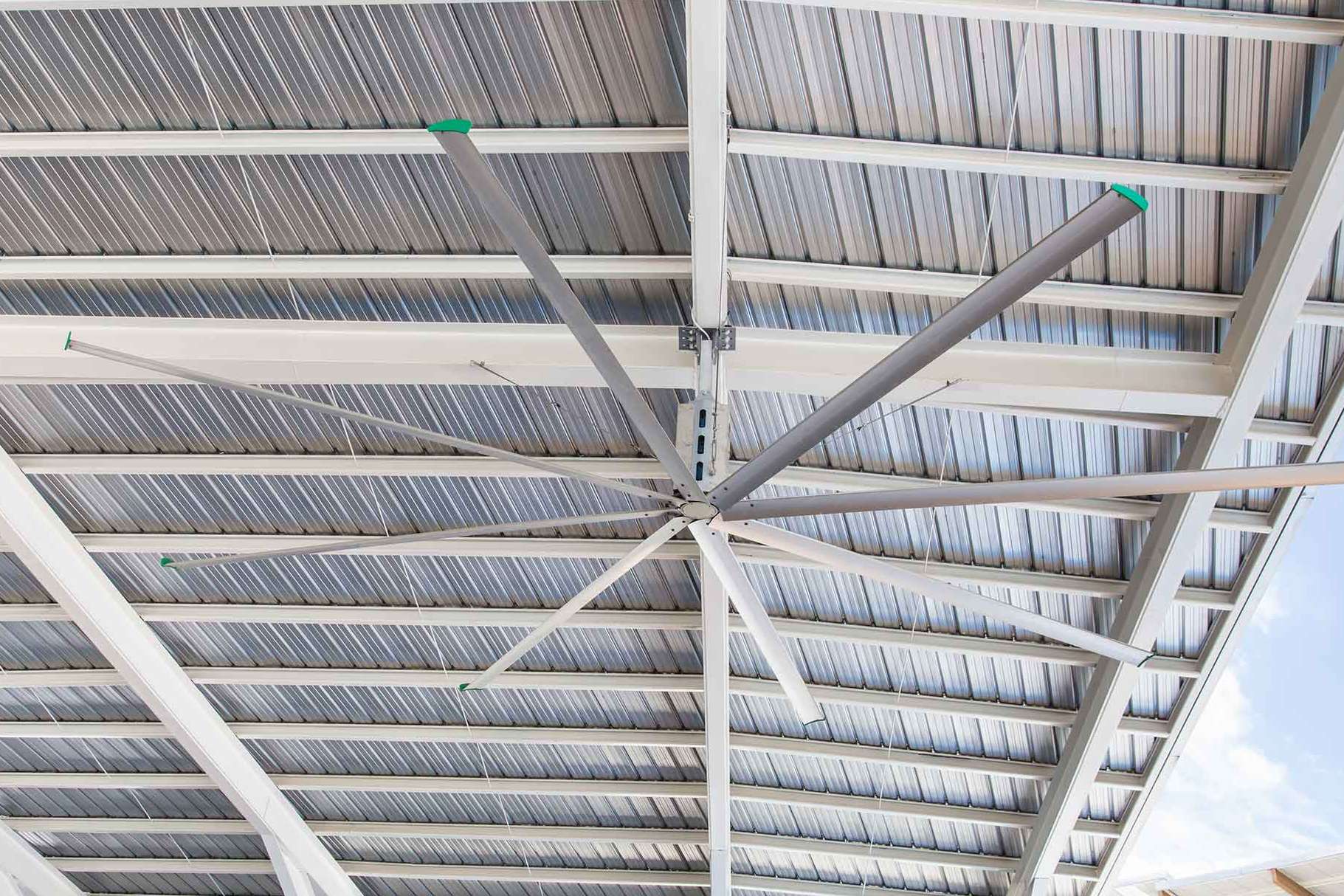 Ͽ.jpg